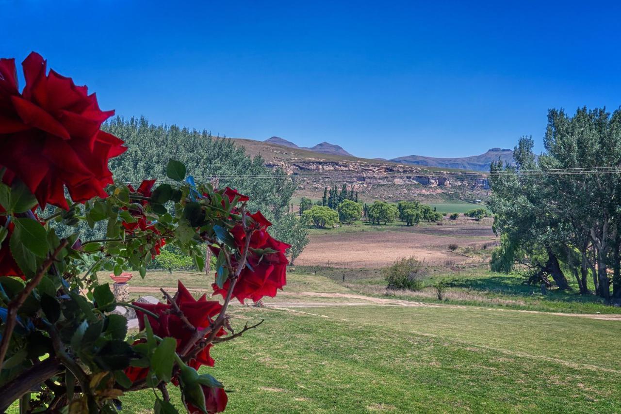 Linwood Guest Farm Casa de hóspedes Clarens Exterior foto